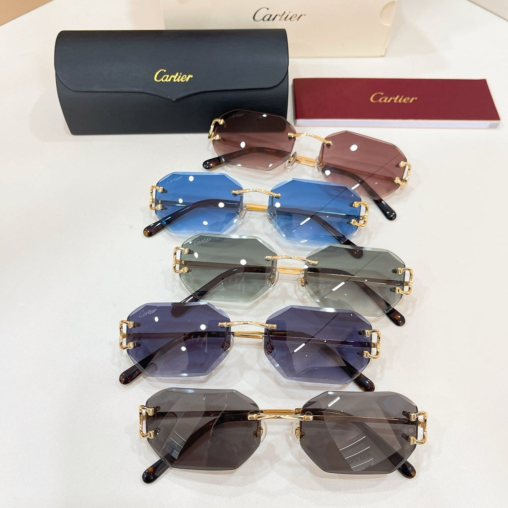 Cartier CT0092O Eyeglasses